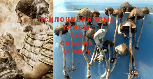 экстази Алексеевка